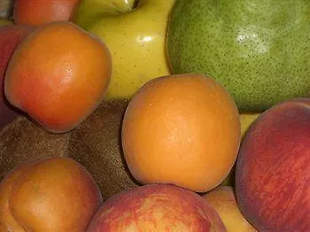 L'antico Asilo Hotel *